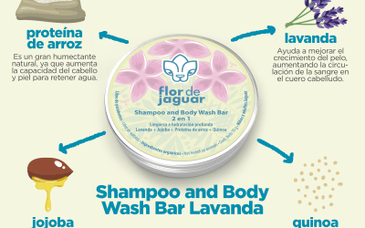 Shampoo and Body Wash Bar 2 en 1 Ingredientes Estrella